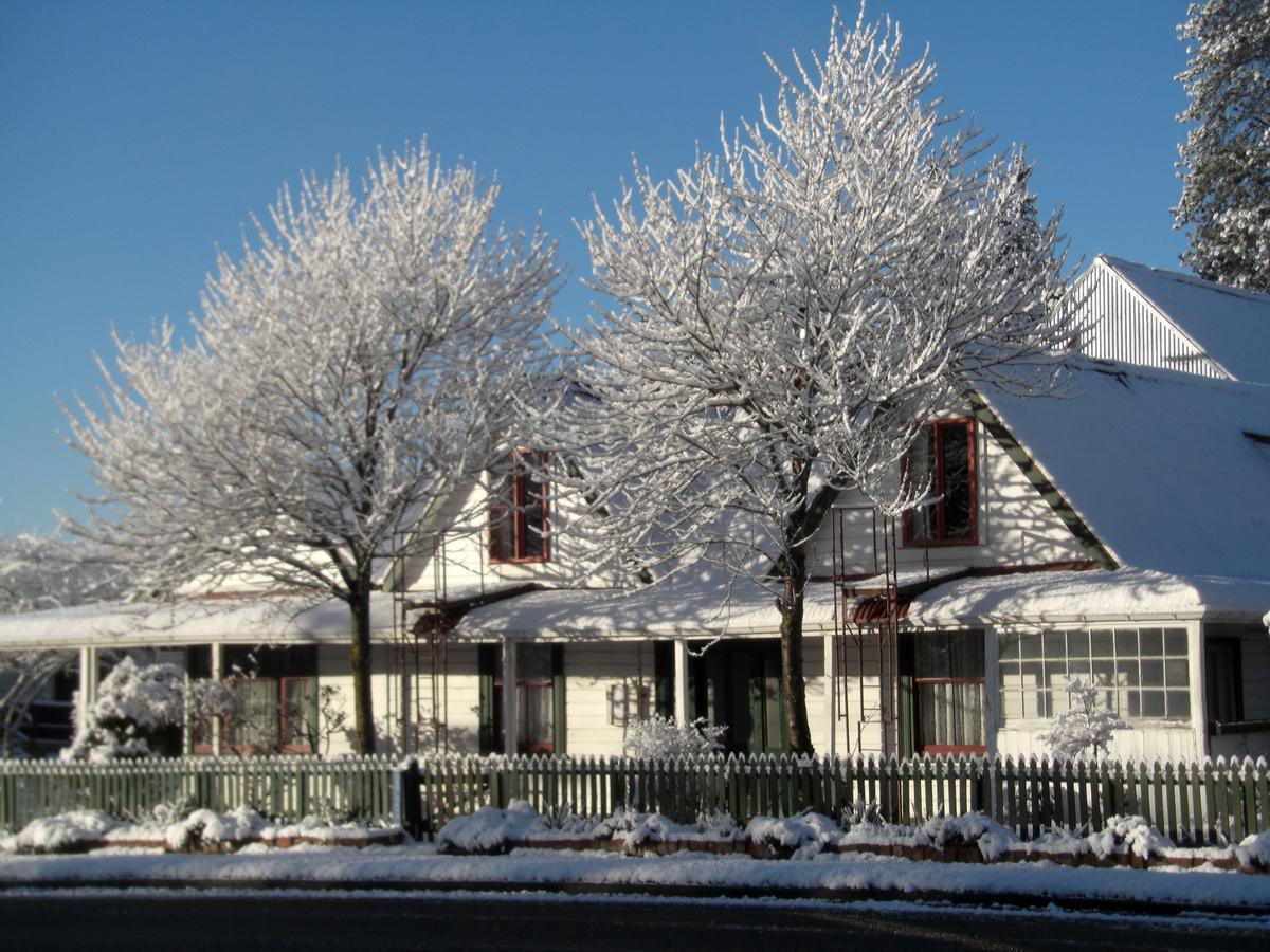 Smylies Accommodation Springfield Exterior photo